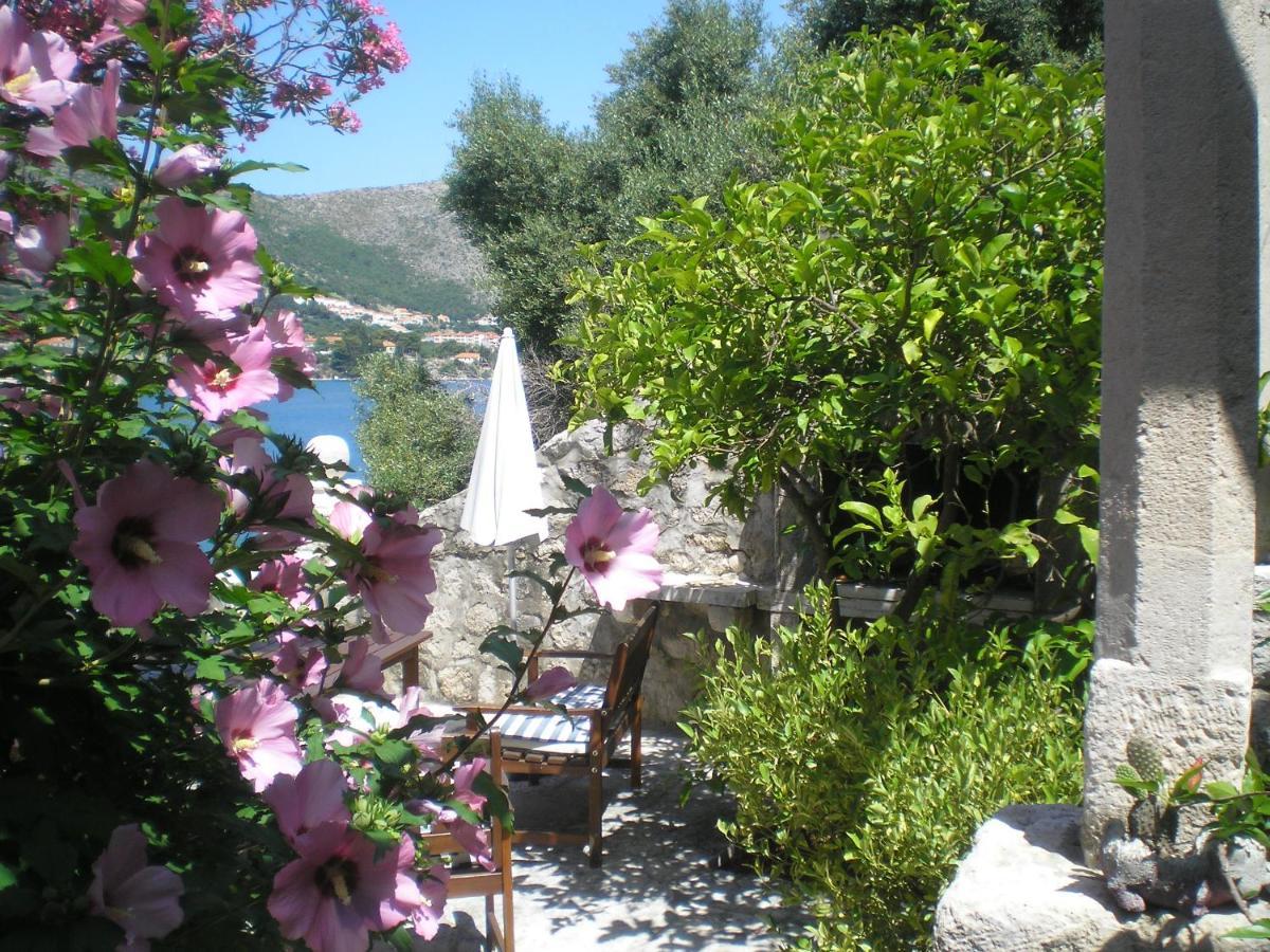 Villa Gverovic Stikovica Room photo